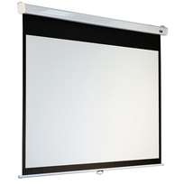 Elite Screens M119XWS1