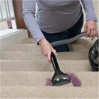 Bissell Brush Tool 6' SpotClean - 15 cm (bag) Titanium | 2365