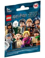 Lego Harry Potter and Fantastic Beasts 71022