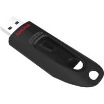 SanDisk Ultra 256GB