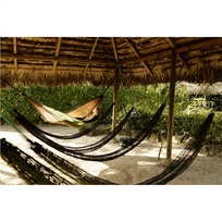 amazone - Amazonas Hammock Adventure Coyote Green/Brown - 4 nuotrauka