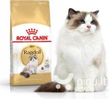 royal canin sausas maistas katems - Sausas kačių maistas Royal Canin Ragdoll Adult - 2 nuotrauka