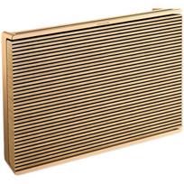 bang olufsen - Bang & Olufsen Beosound Level (Gold Tone/ Light Oak) - 1 nuotrauka