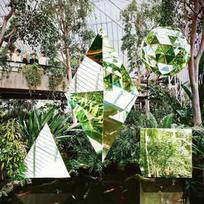 CLEAN BANDIT: NEW EYES CD