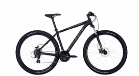 Dviratis 29' Bulls Wildtail 2 Disc vyr. 24g juodas matinis