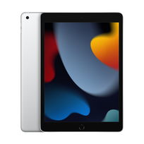 Apple iPad 10.2" (2021) Wi-Fi 64GB Silver (Sidabrinis)