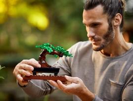 lego konstruktoris - LEGO Icons Bonsai medelis 10281 - 11 nuotrauka