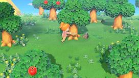 Pirkti Animal Crossing: New Horizons Nintendo Switch - Photo 5