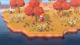 Pirkti Animal Crossing: New Horizons Nintendo Switch - Photo 8