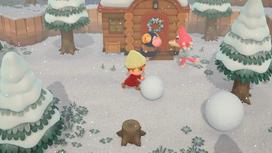 Pirkti Animal Crossing: New Horizons Nintendo Switch - Photo 9