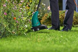 zoliapjoviu - Bosch EasyGrassCut 23, 280 W - 2 nuotrauka