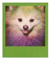 polaroidai - Polaroid 600 Color Frames, 8 vnt. - 4 nuotrauka