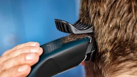 philips plauku kirpimo masinele 3000 - Philips HC3505/15 - 7 nuotrauka