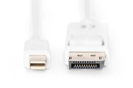 displayport kabelis 3m - Assmann Cable Displayport-mini / Displayport White 3m - 4 nuotrauka