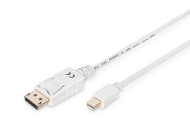 displayport kabelis 3m - Assmann Cable Displayport-mini / Displayport White 3m - 5 nuotrauka