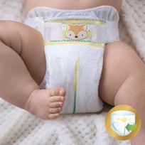 pampers 6 dydis - Pampers Premium Care S3 204 - 6 nuotrauka