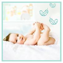 pampers 6 dydis - Pampers Premium Care S3 204 - 8 nuotrauka
