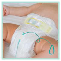 pampers 6 dydis - Pampers Premium Care S3 204 - 9 nuotrauka