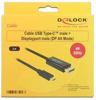 usb c displayport - Delock Cable USB / DisplayPort 2m - 3 nuotrauka