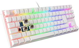 brown switch - Klaviatūra Genesis Thor 303 TKL RGB White Outemu Brown EN, balta - 4 nuotrauka