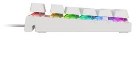 brown switch - Klaviatūra Genesis Thor 303 TKL RGB White Outemu Brown EN, balta - 7 nuotrauka