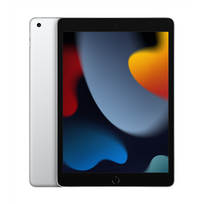 plansete 10 - Apple iPad 10.2" (2021) Wi-Fi 256GB Silver (Sidabrinis) - 1 nuotrauka
