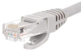 utp kabelis 20m - Netrack CAT 5e UTP Patch Cable Grey 20m - 2 nuotrauka