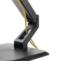 monitoriu laikiklis 100x100 - NewStar Flat Screen Desk Mount 10-32'' Black - 11 nuotrauka