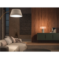 philips hue 1100 e27 - Philips LED Bulb A60 9.5W E27 Hue Wireless Dimmer Kit - 5 nuotrauka