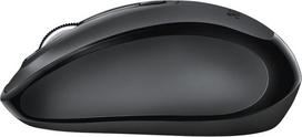 sieros - TRUST SIERO 23266  - 2 nuotrauka