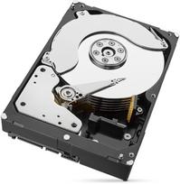 seagate ironwolf - Seagate IronWolf Pro 12TB 7200RPM 256MB SATAIII ST12000NE0008 - 4 nuotrauka