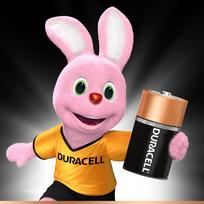 elementai aa - Duracell Alkaline Power Batteries AA B12 12pcs - 3 nuotrauka