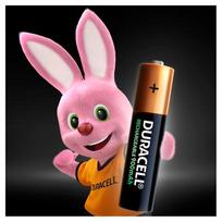duracell ikraunamos - Kraunami elementai Duracell AA 2500 mAh, 2 vnt. - 2 nuotrauka