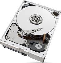 seagate ironwolf - SEAGATE|IronWolf|10TB|SATA 3.0|256 MB|7200 rpm|3,5"|ST10000VN000 - 4 nuotrauka