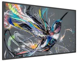 50 monitoriai - Philips 50BDL3510Q/00 - 2 nuotrauka