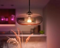 lemputes 100w - Philips Hue Hue, LED, E27, 13.5 W, 1200 - 1521 lm, - 7 nuotrauka