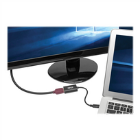 usb video adapteris - Tripp Lite USB-C to HDMI Adapter U444-06N-HD4K6B/4K - 5 nuotrauka