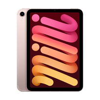 iPad mini 2 7.9