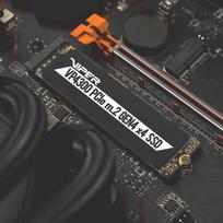1tb nvme gen4 ssd - Patriot Viper VP4300 1TB SSD VP4300-1TBM28H - 23 nuotrauka