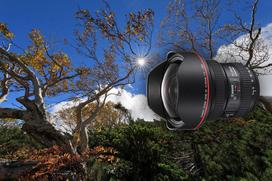ef canon - Canon EF 11-24mm F4L USM - 5 nuotrauka