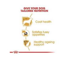 sausas maistas jorksyrams - Royal Canin Yorkshire Terrier Adult 7,5 kg - 5 nuotrauka