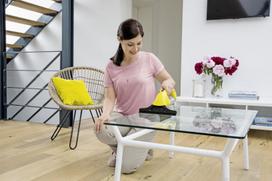 karcher - Karcher WV 1 Plus - 5 nuotrauka