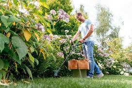 bosch zoliapjove - Bosch EasyGrassCut 26, 280 W - 4 nuotrauka