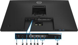 dell monitor 27 ips - Dell P2721Q - 12 nuotrauka