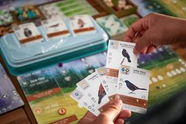 game - Stonemaier Games Wingspan 7953, EN - 3 nuotrauka