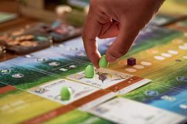 game - Stonemaier Games Wingspan 7953, EN - 4 nuotrauka