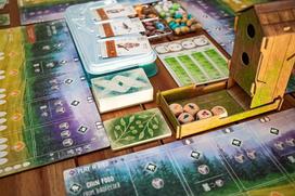 game - Stonemaier Games Wingspan 7953, EN - 6 nuotrauka