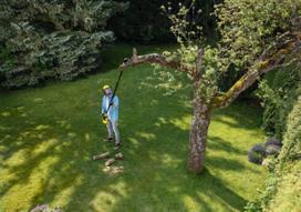akumuliatorinis saku pjuklas - Karcher PSW 18-20 - 2 nuotrauka