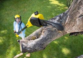 akumuliatorinis saku pjuklas - Karcher PSW 18-20 - 3 nuotrauka