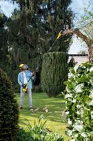 akumuliatorinis saku pjuklas - Karcher PSW 18-20 - 4 nuotrauka